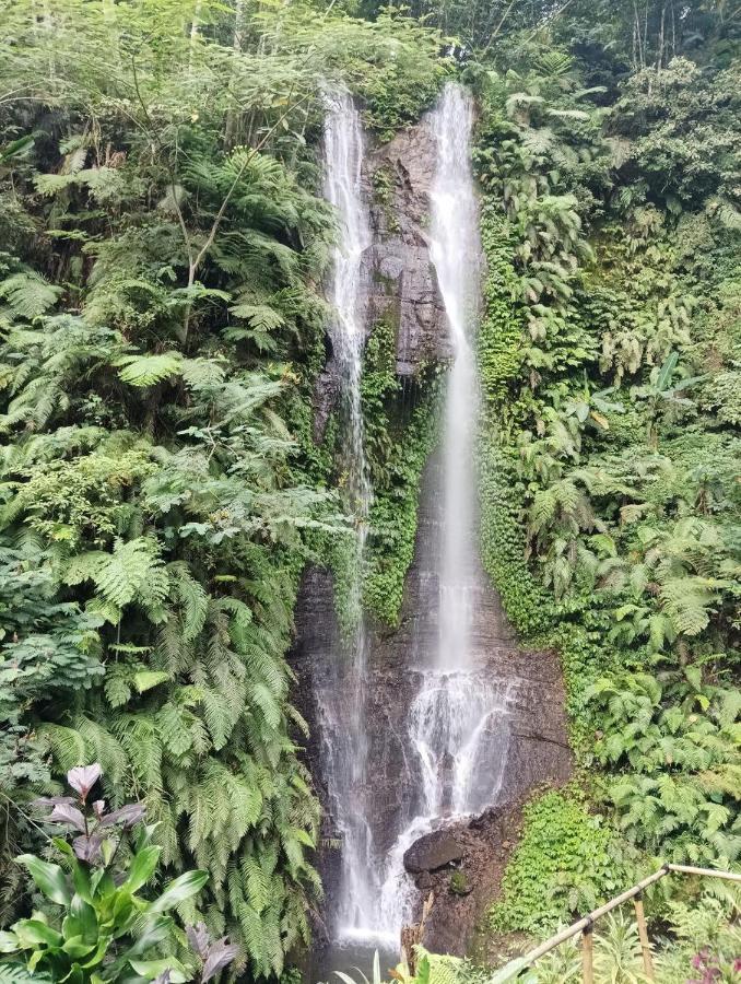 Munduk Tutub Waterfall View Exteriér fotografie